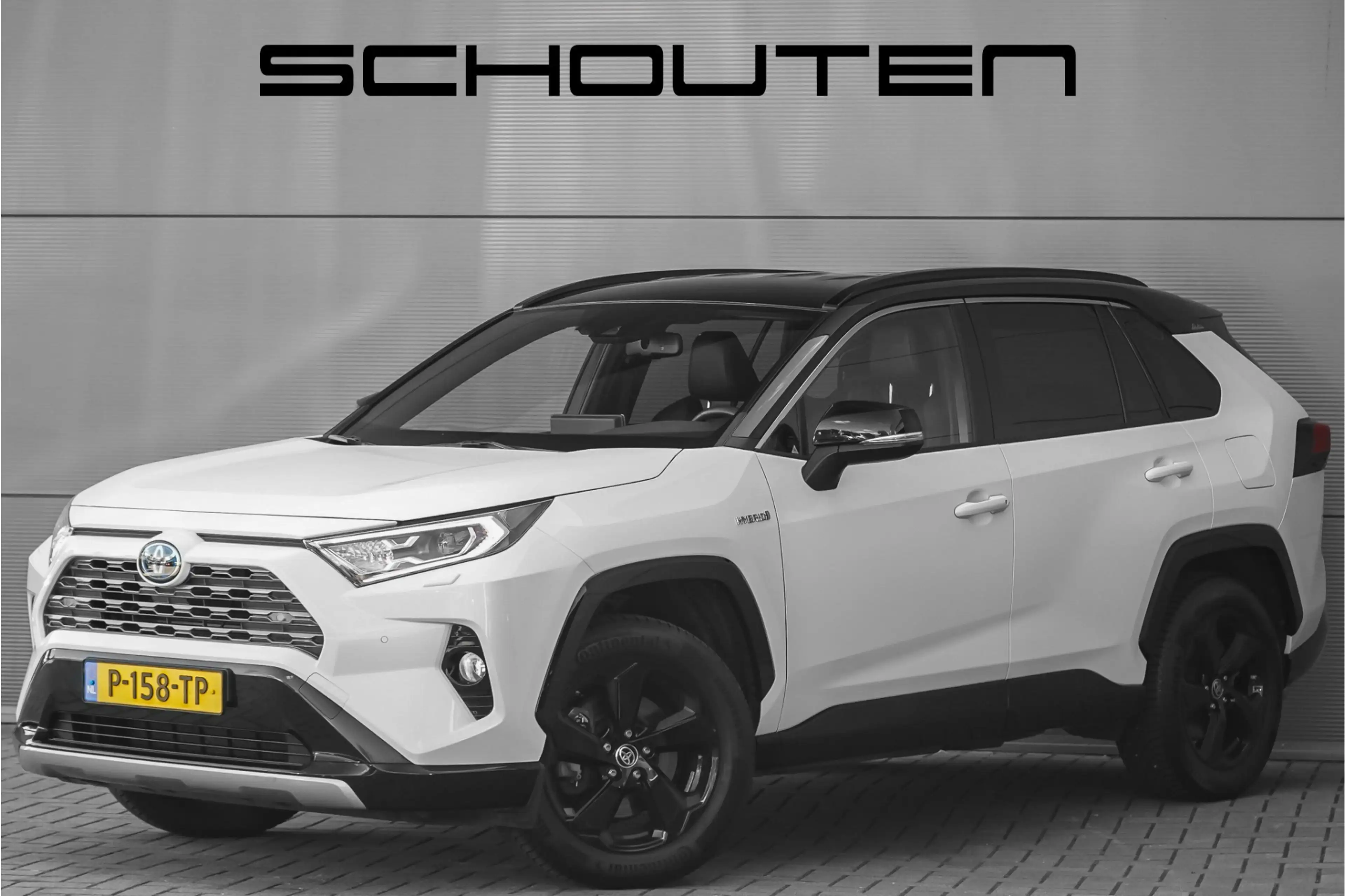Toyota RAV 4 2.5 Hybrid AWD Bi-Tone Navi ACC Camera Trekhaak