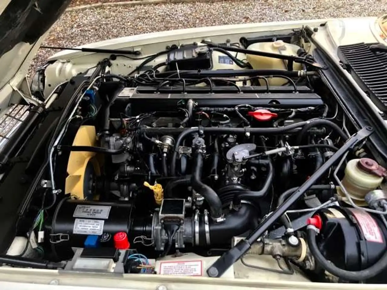 Jaguar XJSC XJS 3600 convertibile Bellissima, foto 12