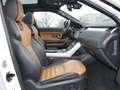 Land Rover Range Rover Evoque HSE DynamicVollausstattung Weiß - thumbnail 3