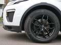 Land Rover Range Rover Evoque HSE DynamicVollausstattung Weiß - thumbnail 9
