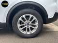 Ford Kuga Kuga 1.5 EcoBoost FWD Titanium Blanc - thumbnail 20