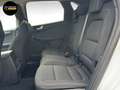 Ford Kuga Kuga 1.5 EcoBoost FWD Titanium Blanc - thumbnail 10