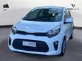 Kia Picanto 1.0 12V 5 porte Urban Blanco - thumbnail 2