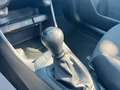 Kia Picanto 1.0 12V 5 porte Urban Blanco - thumbnail 13