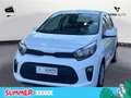 Kia Picanto 1.0 12V 5 porte Urban Blanco - thumbnail 1