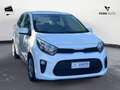Kia Picanto 1.0 12V 5 porte Urban Blanco - thumbnail 4