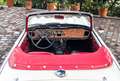Triumph TR4 A IRS Weiß - thumbnail 11