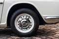 Triumph TR4 A IRS Weiß - thumbnail 10