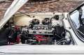 Triumph TR4 A IRS Weiß - thumbnail 4