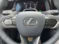 Lexus RZ 300e Executive Line *360*HUD*LED*el Heck*SHZ* Grau - thumbnail 16