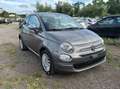 Fiat 500 500 1.0 hybrid 70cv Grigio - thumbnail 3
