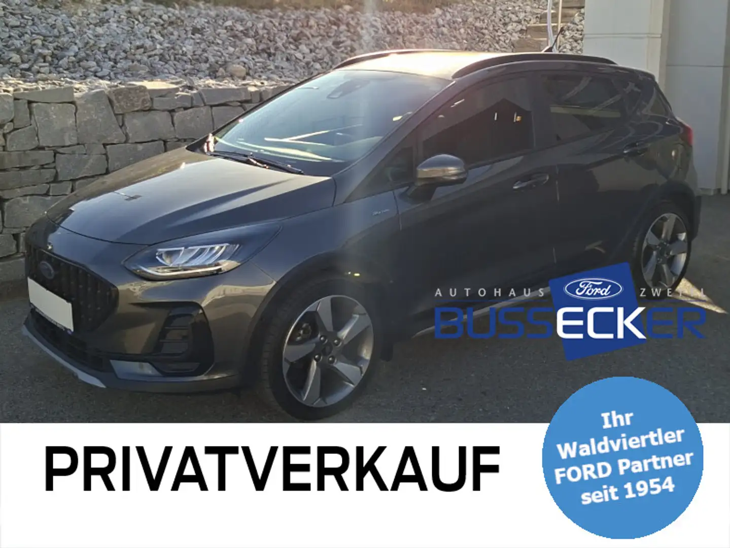 Ford Fiesta Active X 1,0 EcoBoost Start/Stop Grau - 1