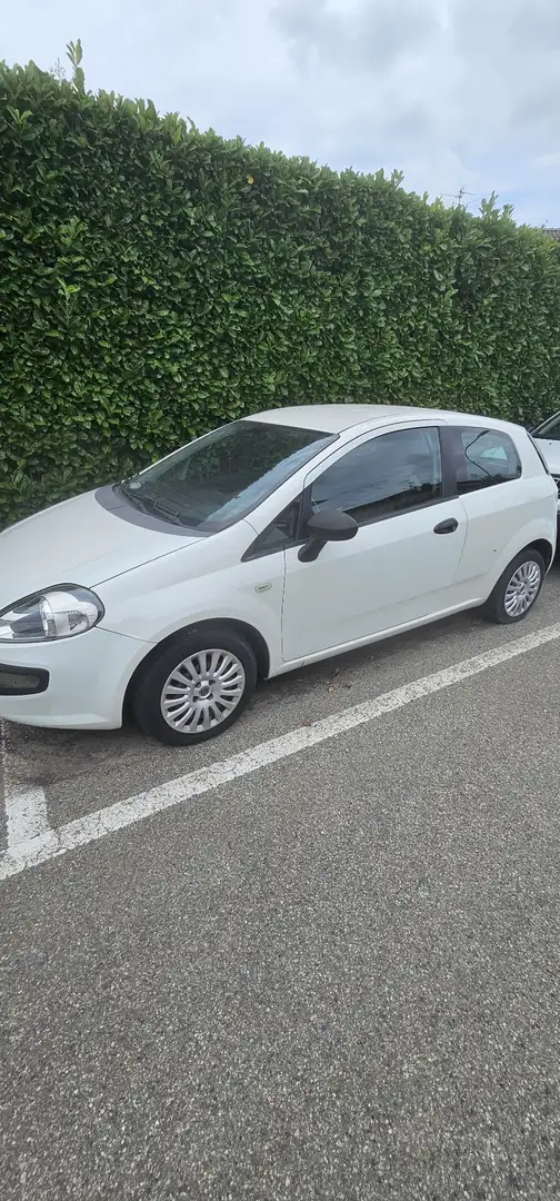 Fiat Punto Evo 3p 1.2 Active 65cv - 2