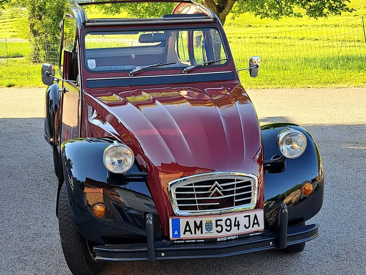 Citroen 2CV Charleston, foto 3
