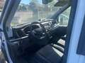 Ford Transit jumbo 350 tre posti mhev 170cv trendl4h3 Bianco - thumbnail 9