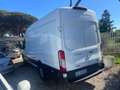 Ford Transit jumbo 350 tre posti mhev 170cv trendl4h3 Bianco - thumbnail 2