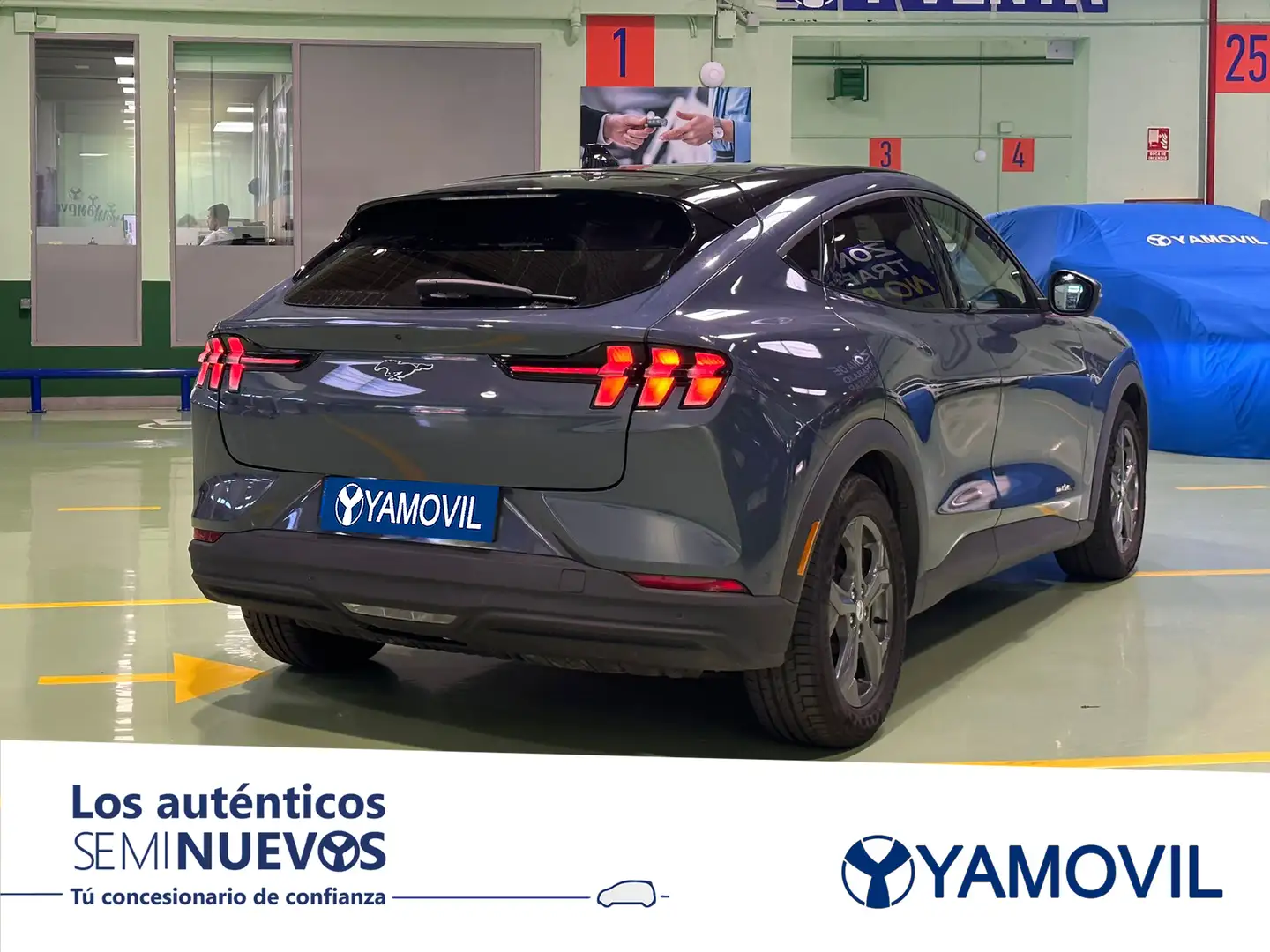 Ford Mustang RWD Rango extendido Bleu - 2