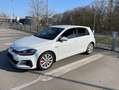 Volkswagen Golf GTI GTI Performance BMT/Start-Stopp Weiß - thumbnail 8
