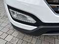Hyundai SANTA FE Santa Fe 2.0 CRDi 2WD Comfort Plus Weiß - thumbnail 20