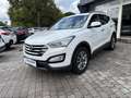Hyundai SANTA FE Santa Fe 2.0 CRDi 2WD Comfort Plus Weiß - thumbnail 2