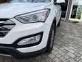 Hyundai SANTA FE Santa Fe 2.0 CRDi 2WD Comfort Plus Weiß - thumbnail 22