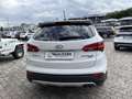 Hyundai SANTA FE Santa Fe 2.0 CRDi 2WD Comfort Plus Weiß - thumbnail 5