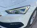 SEAT Leon SP 2.0 TDI 110kW DSG S&S Xcellence Go L Blanco - thumbnail 11