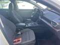 SEAT Leon SP 2.0 TDI 110kW DSG S&S Xcellence Go L Blanco - thumbnail 7
