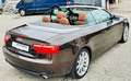 Audi A5 2.0 TFSI Cabriolet  Tüv NEU+Automatik+TOP!!! Braun - thumbnail 2
