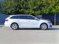Skoda Octavia Octavia 2.0 TDI EVO SCR DSG Executive Weiß - thumbnail 5