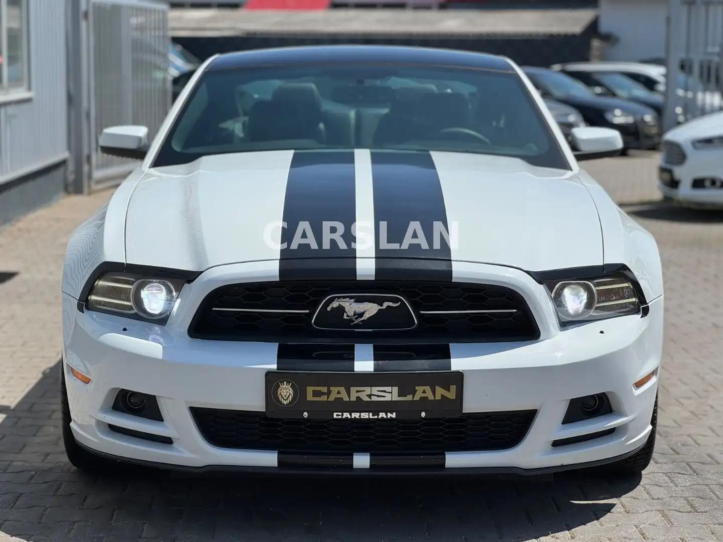 Ford Mustang 3.7 V6 "LED+NAVI+Bi-XENON+LEDER+SPORT" Білий - 2