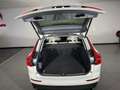 Volvo XC60 2.0 d5 Inscription awd geartronic my18 Alb - thumbnail 11