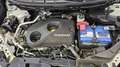 Nissan X-Trail 1.6dCi Xtronic TETTO-CAM360°-BOSE-19-NAVI-PELLE Weiß - thumbnail 29