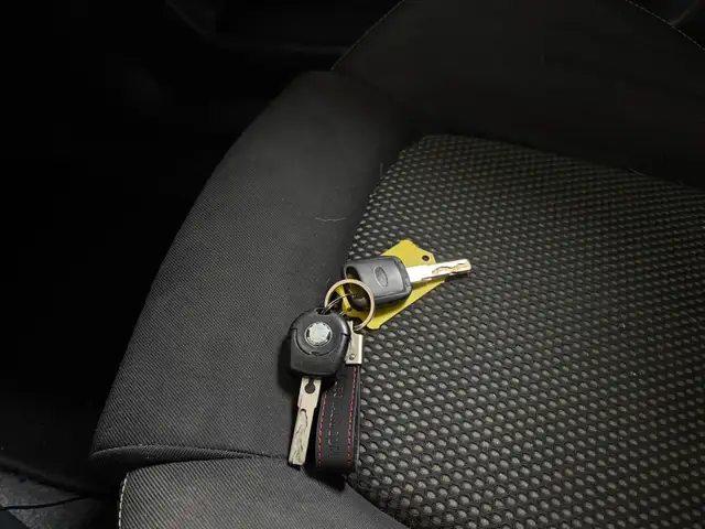 Skoda Fabia view 11