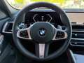 BMW X6 xDrive 30dA M Sport Gris - thumbnail 33