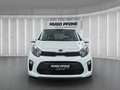 Kia Picanto 1.0 Weiß - thumbnail 8