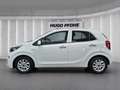 Kia Picanto 1.0 Weiß - thumbnail 2