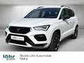 CUPRA Ateca 2.0 TSI 4Drive DSG *AHK* Weiß - thumbnail 1