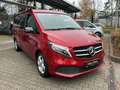 Mercedes-Benz Marco Polo Marco Polo 220 d HORIZON EDITION Distronic/Navi Rot - thumbnail 3