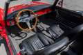 Alfa Romeo Spider 1750 Veloce Rouge - thumbnail 12