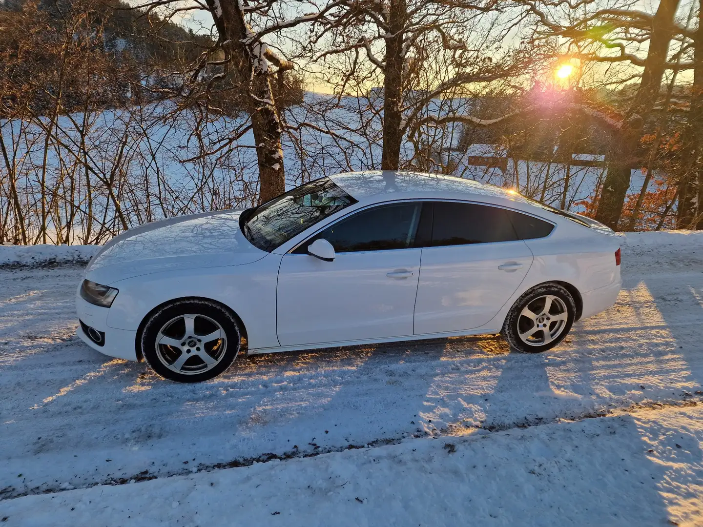 Audi A5 2.0 TDI Sportback DPF quattro - 2