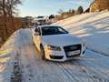 Audi A5 2.0 TDI Sportback DPF quattro - thumbnail 8