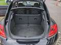 Volkswagen Beetle VW The Beetle TSI Schwarz - thumbnail 18