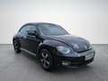 Volkswagen Beetle VW The Beetle TSI Schwarz - thumbnail 8