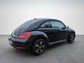 Volkswagen Beetle VW The Beetle TSI Schwarz - thumbnail 6