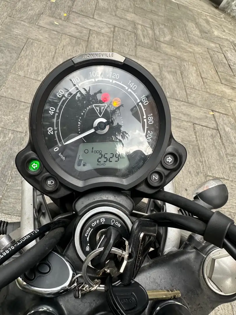 Triumph STREET SCRAMBLER - 1