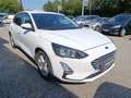 Ford Focus 1,0 EcoBoost Cool & Connect Weiß - thumbnail 3