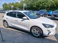 Ford Focus 1,0 EcoBoost Cool & Connect Weiß - thumbnail 8