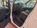 Renault Master Fg.DCb. Blue dCi L3H2 3500 T 99kW Blanc - thumbnail 15