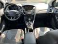 Ford Focus Turnier 1.0 EB Titanium Design KAM+Leder Negro - thumbnail 13